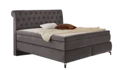 QUARTIER Boxspringbett SVENJA 180 x 200 cm grau
