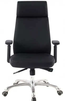 Chefsessel 68 x 118 cm schwarz silber