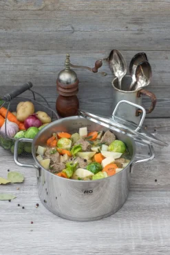 ELO mit Freude kochen! ELO Kochtopf mit Glasdeckel CITRIN 20 cm Edelstahl silber