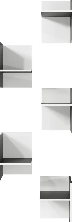 Facheinsätze PASADENA 5-teilig Anthrazit/ Weiß