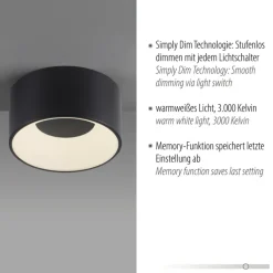 JUST LIGHT LED Deckenlampe TANIKA 16 cm schwarz