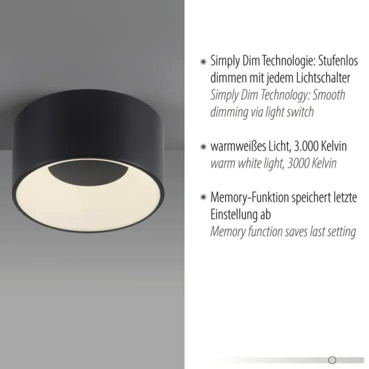JUST LIGHT LED Deckenlampe TANIKA 16 cm schwarz