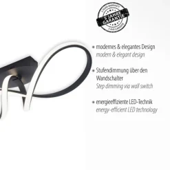 JUST LIGHT LED Deckenlampe MARIA 24,5 x 61 cm schwarz