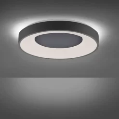 JUST LIGHT LED Deckenlampe ANIKA 50 cm anthrazit