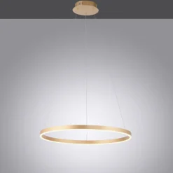 JUST LIGHT LED Pendelleuchte RITUS 58 cm messingfarbig