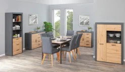 Kommode ROLAND 1T4S grau/ braun