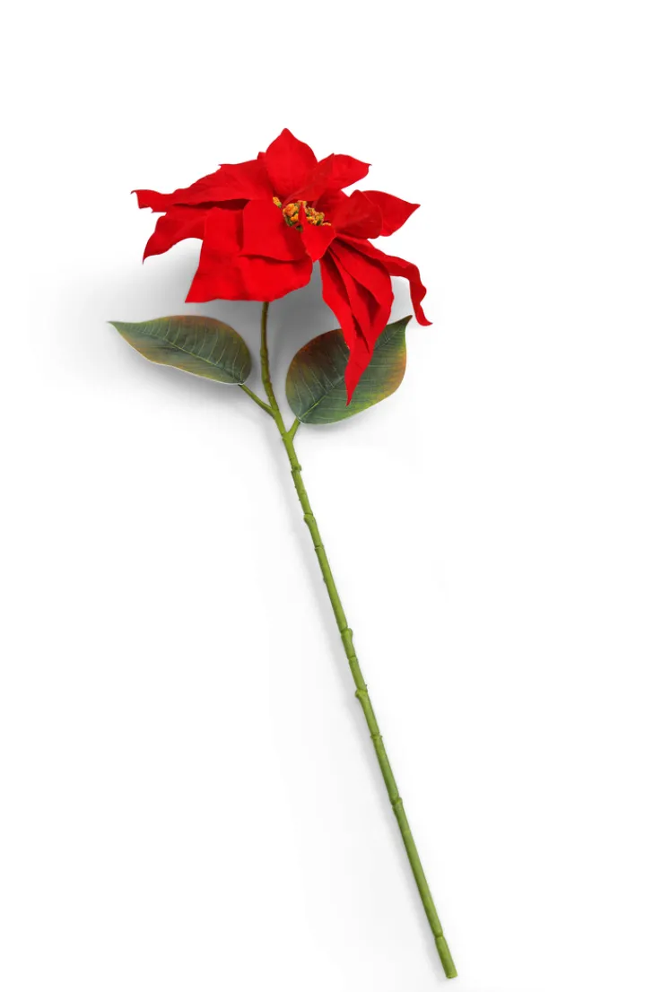 Kunstblume Weihnachtsstern MERRY CHRISTMAS Kunststoff 55 x 23 x 23 cm Rot/Grün