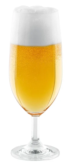 LEONARDO Bierglas DAILY