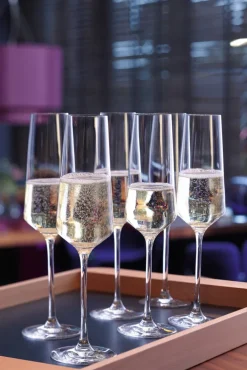 LEONARDO Sektglas PUCCINI 280 ml