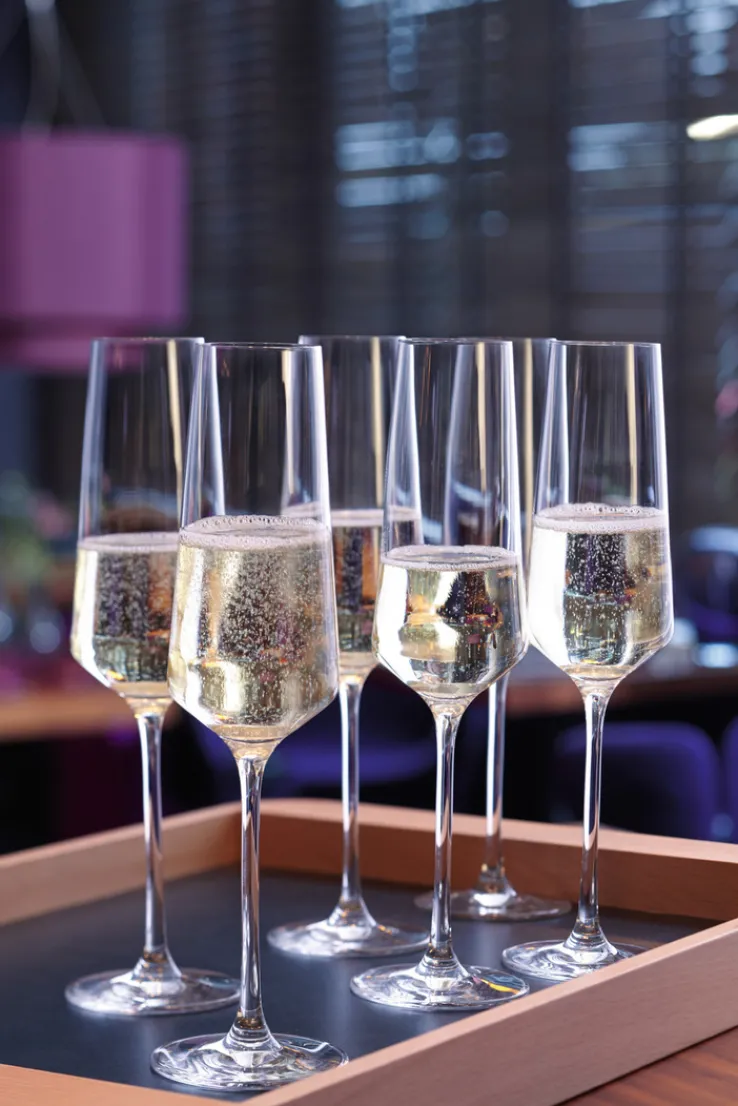 LEONARDO Sektglas PUCCINI 280 ml