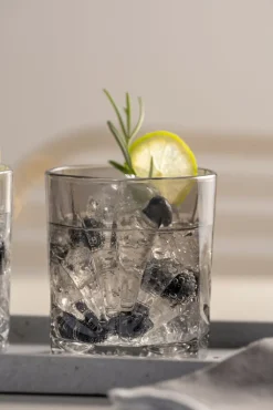 LEONARDO Whiskyglas CAPRI 4er-Set grau