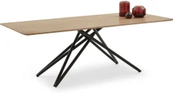 Musterring Esstisch HELMOND 200 x 100 cm Eiche braun/ schwarz