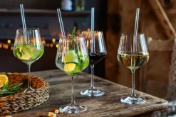 Nachtmann Gin Tonic-Set TASTES GOOD 9-teilig Kristallglas