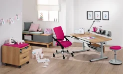 Kinder PAIDI Schreibtisch GT DIEGO Eiche Nebraska