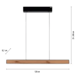 Paul Neuhaus LED Balkenpendel PURE E-MOTION 2-flg schwarz