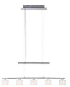 Paul Neuhaus LED Pendelleuchte HYDRA 5-flg stahlfarbig