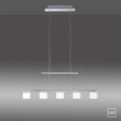 Paul Neuhaus LED Pendelleuchte HYDRA 5-flg stahlfarbig