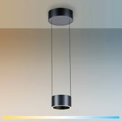 Paul Neuhaus LED Pendelleuchte PURE CLIPSE Aluminium Ø 20 cm Platin