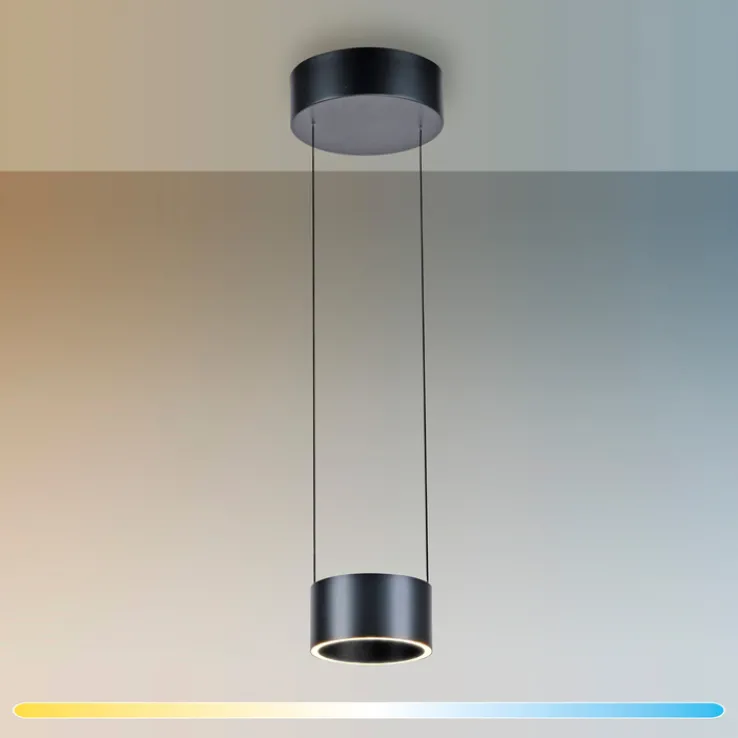 Paul Neuhaus LED Pendelleuchte PURE CLIPSE Aluminium Ø 20 cm Platin