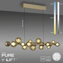 Paul Neuhaus LED Pendelleuchte E-POPUP 120 cm messingfarbig/braun