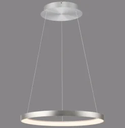 Paul Neuhaus LED Pendelleuchte HOOP 57 cm alu-/nickelfarbig