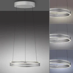 Paul Neuhaus LED Pendelleuchte PURE E-LOOP Aluminium Ø 50 cm Alu-/Nickelfarbig