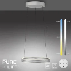 Paul Neuhaus LED Pendelleuchte PURE E-LOOP Aluminium Ø 50 cm Alu-/Nickelfarbig