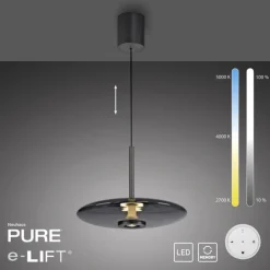 Paul Neuhaus LED Pendelleuchte PURE E-VITRUM 45 cm grau