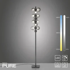 Paul Neuhaus LED Stehlampe PURE POPUP 12-flg grau