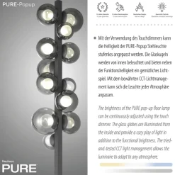 Paul Neuhaus LED Stehlampe PURE POPUP 12-flg grau