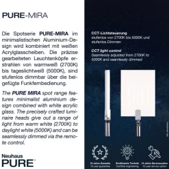 Paul Neuhaus LED Wandleuchte mit Spot PURE-MIRA schwarz