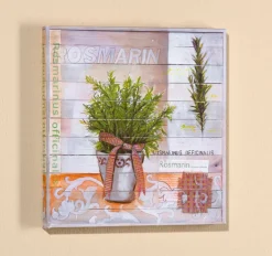 PRO ART Basic cellophaniert Bild SWEET HERBS I ROSMARIN 25 x 25 cm mehrfarbig