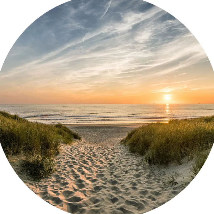 PRO ART Glas Art Bild WEG ZUM STRAND 30 cm Floatglas