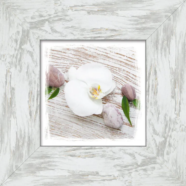 PRO ART New Classic Wood Bild WHITE SPRING IV 34 x 34 cm Rahmen grau