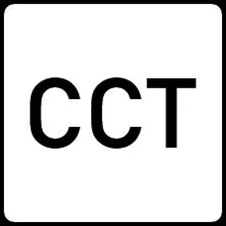 Reality RL RL LED Deckenlampe MOBILE 39 x 42 cm schwarz