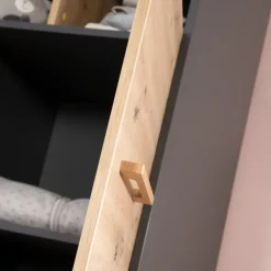 Kinder roba Kinder-Drehtürenschrank LENN anthrazit/ braun