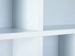 Sammlervitrine PETER 70x70x13 cm Schwarz/Weiß