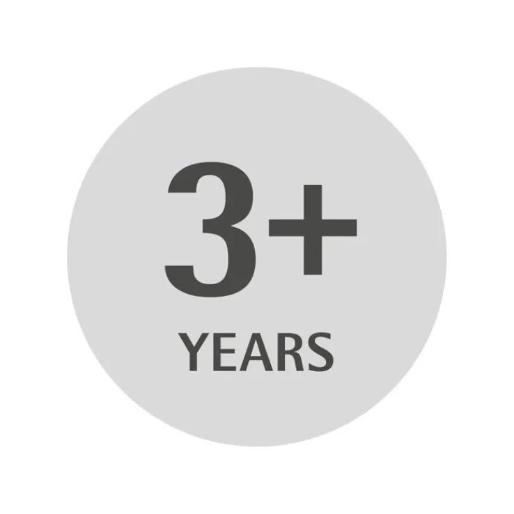 WMF Kinderbesteckset FAULTIER 4-teilig Edelstahl