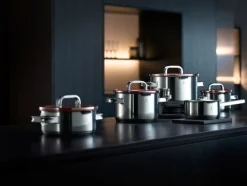 WMF Topf-Set FUNCTION 4 5-teilig Edelstahl silberfarbig